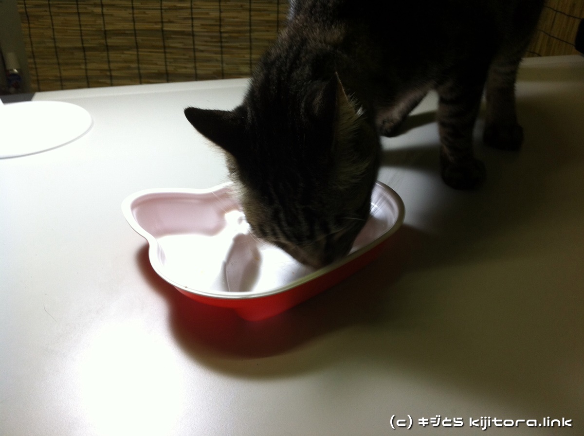 今夜の猫のご飯はジバニャン弁当ニャ♪（猫の食事3）