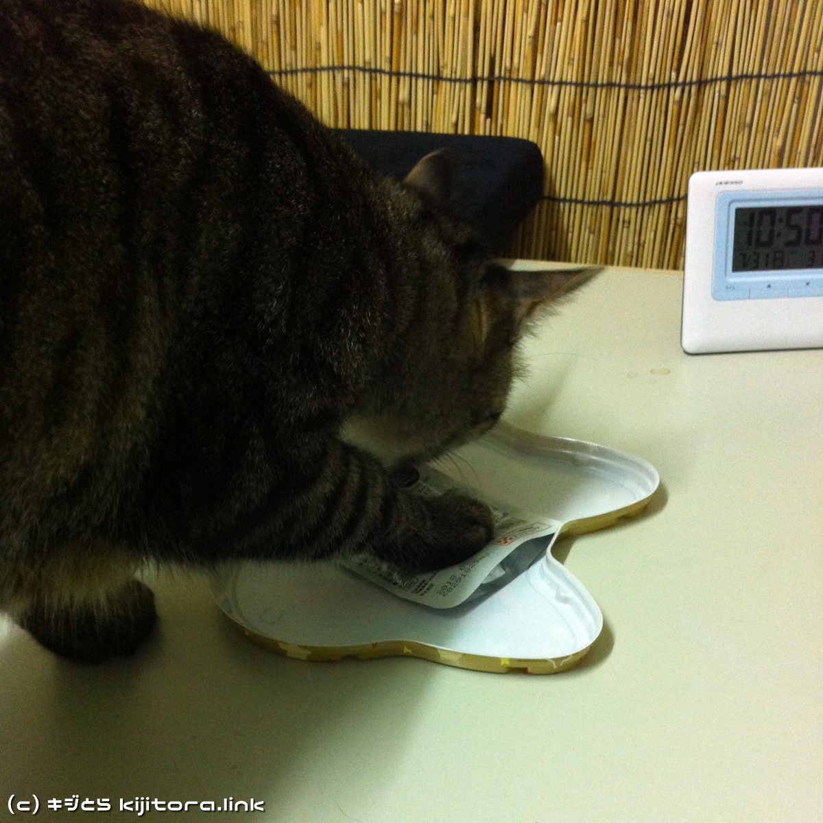 今夜の猫のご飯はジバニャン弁当ニャ♪（猫の食事4）