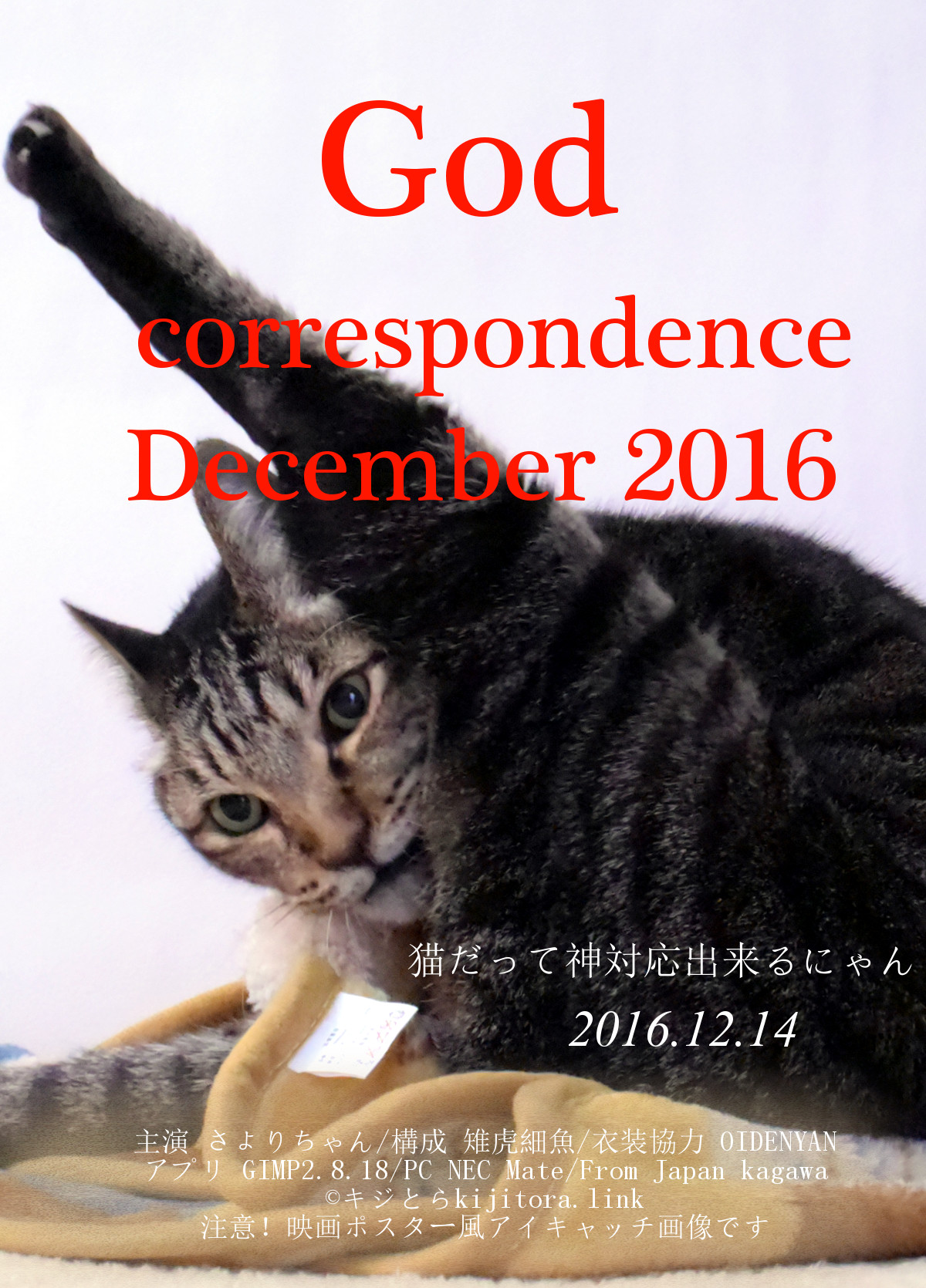 神対応する猫CM