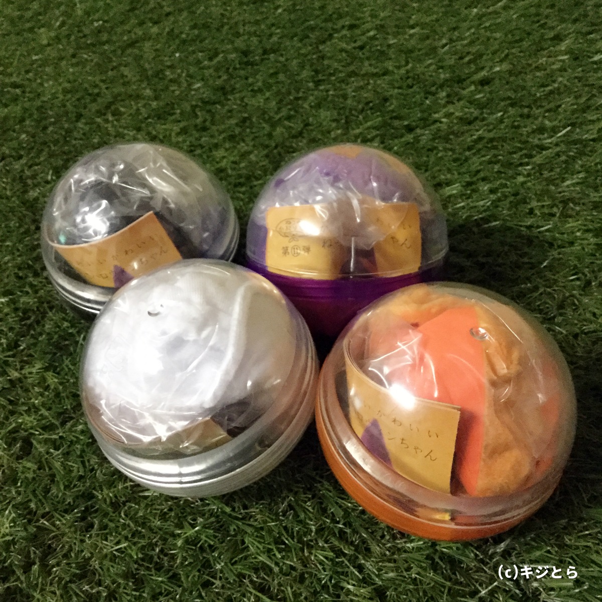 奇譚クラブ かわいい かわいい ねこ ハロウィンちゃん 全種ゲット キジとら