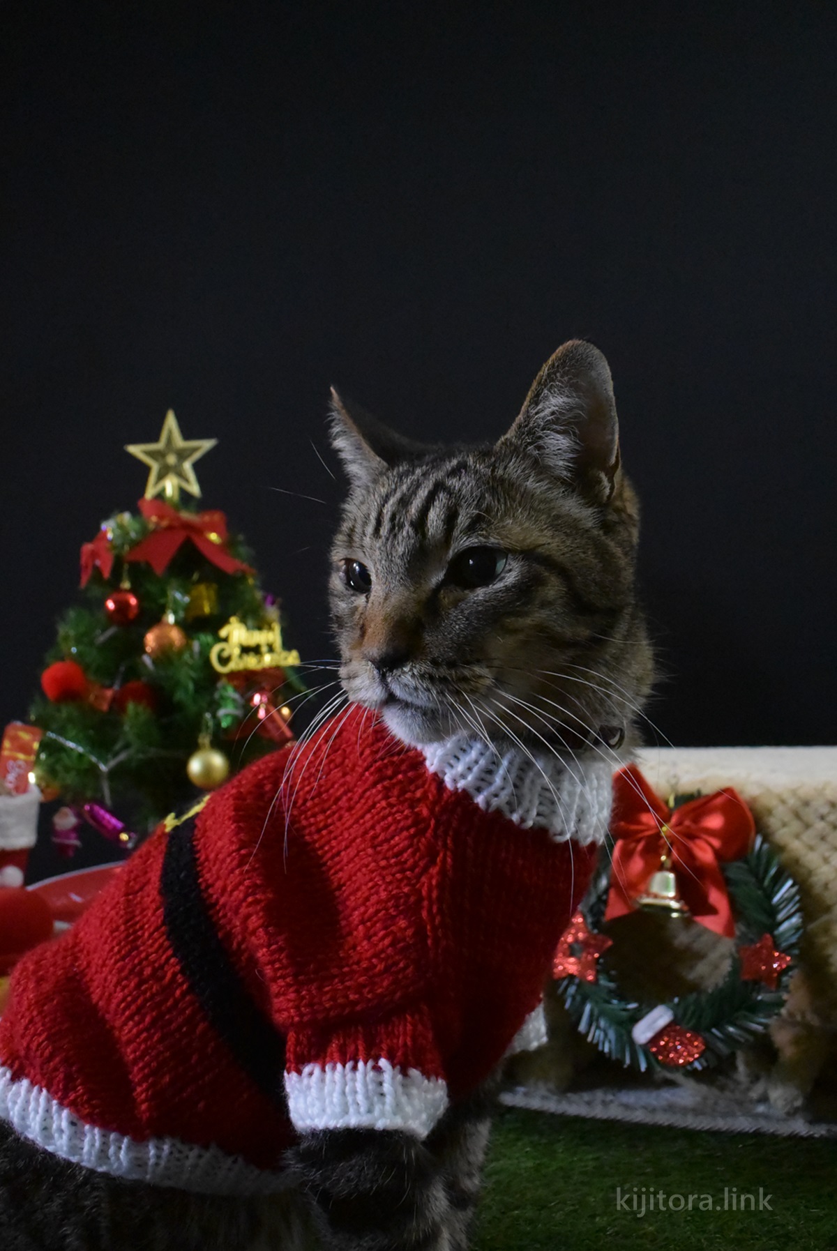 手編み サンタになった猫 ハンドメイド
