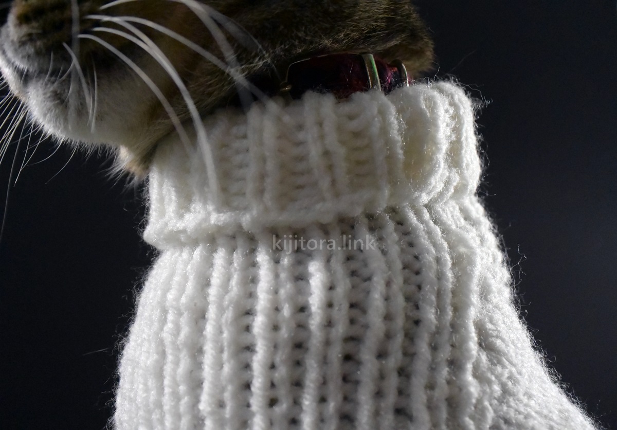 手編み 猫の白いタートルネックのセーター ハンドメイド キジとら
