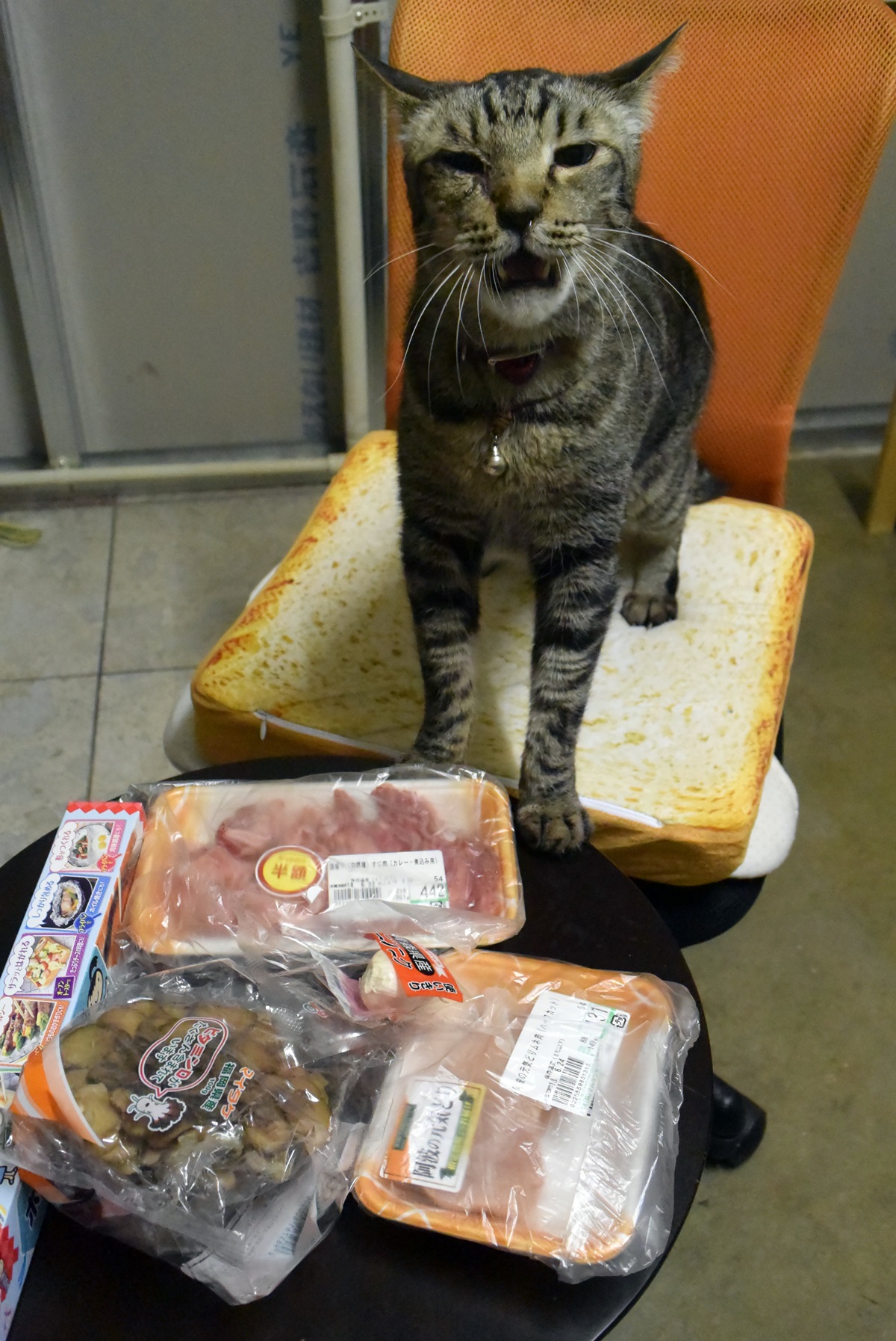 金スマで 医者が教える食事術 見てたらお肉が食べたくなった でも 猫にニンニクの匂いって大丈夫