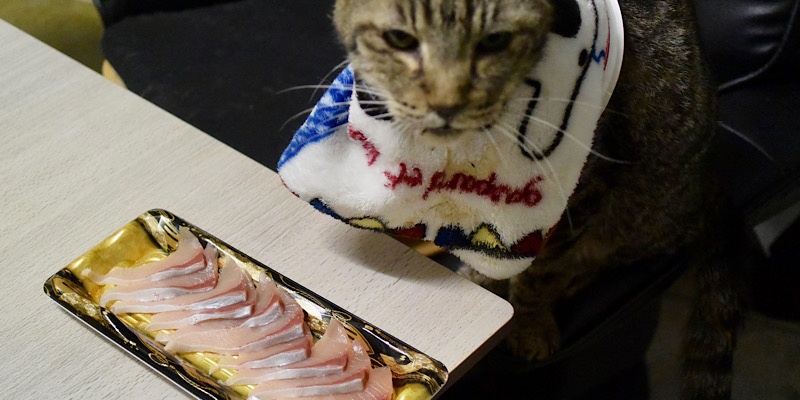 猫雑学 磯野家のペット タマを拾って来たのはワカメ キジとら