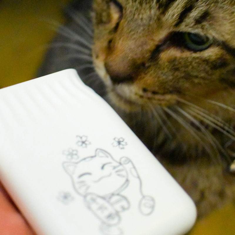 猫と猫のモバイルバッテリー