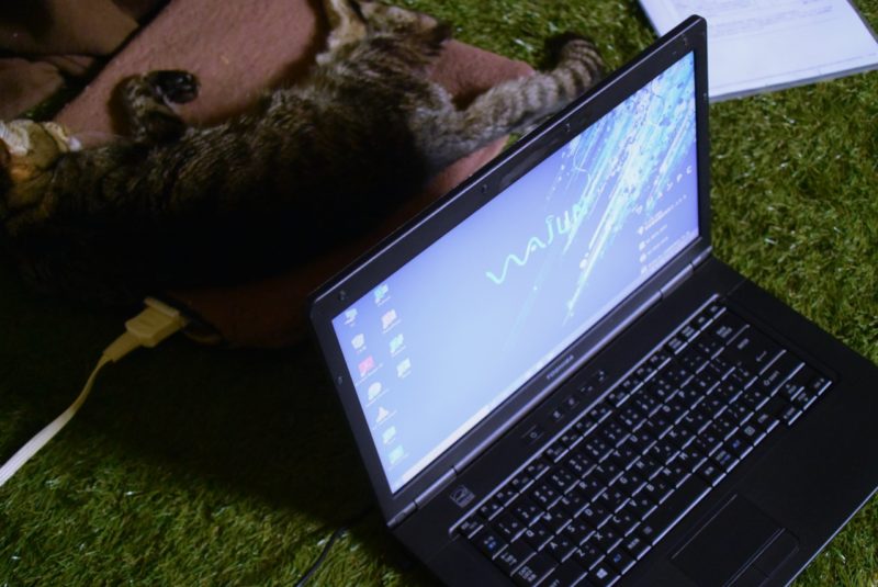 Amazonで買ったワジュンの中古ノートPCとそれに興味なしの猫