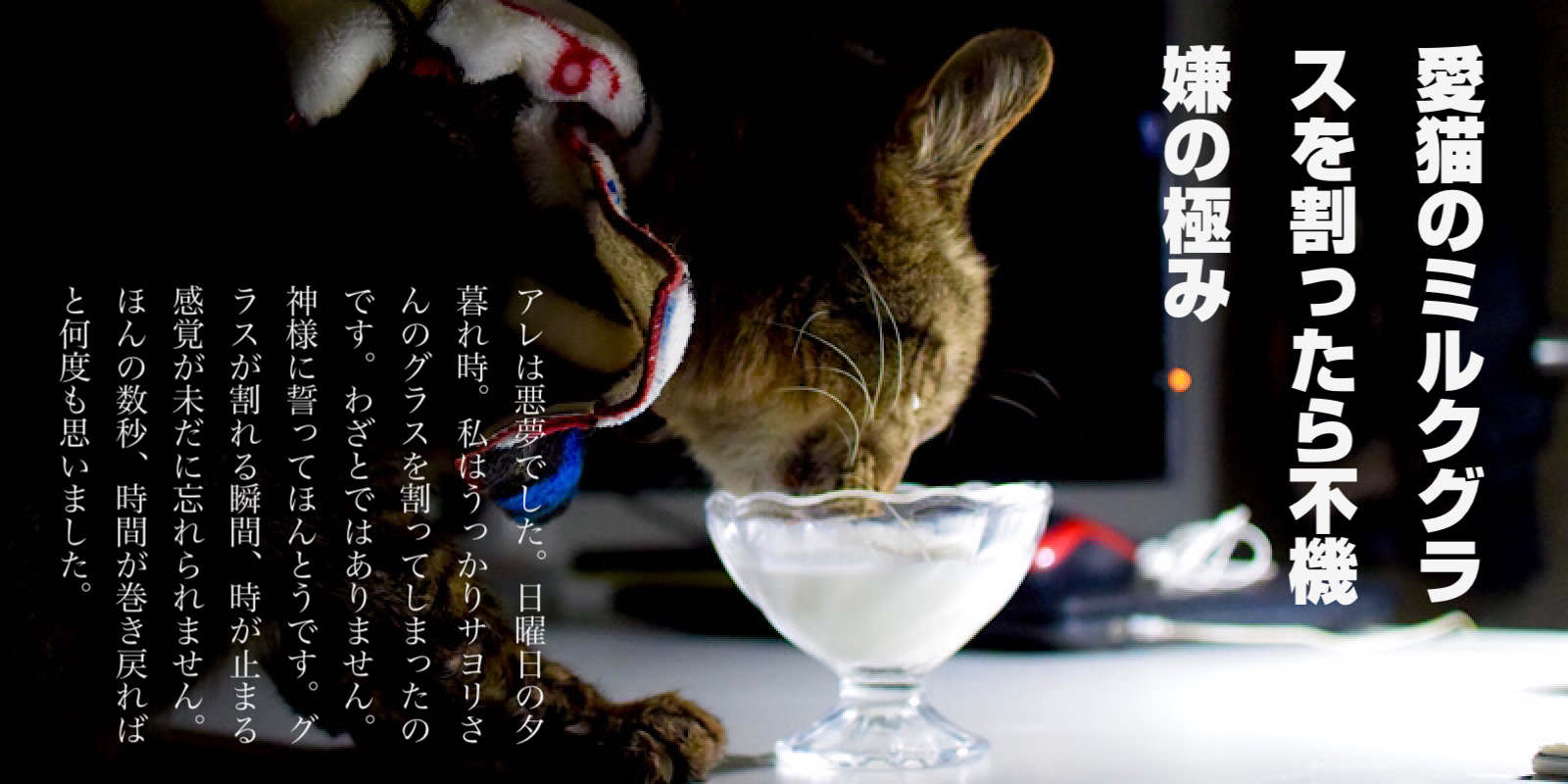 愛猫のミルクグラスを割ったら不機嫌の極み