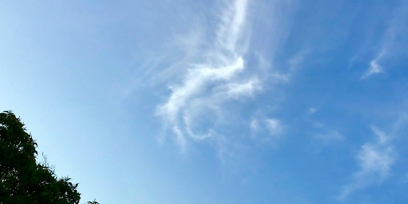 龍に見えた雲