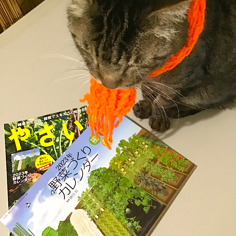 猫と野菜づくりカレンダー